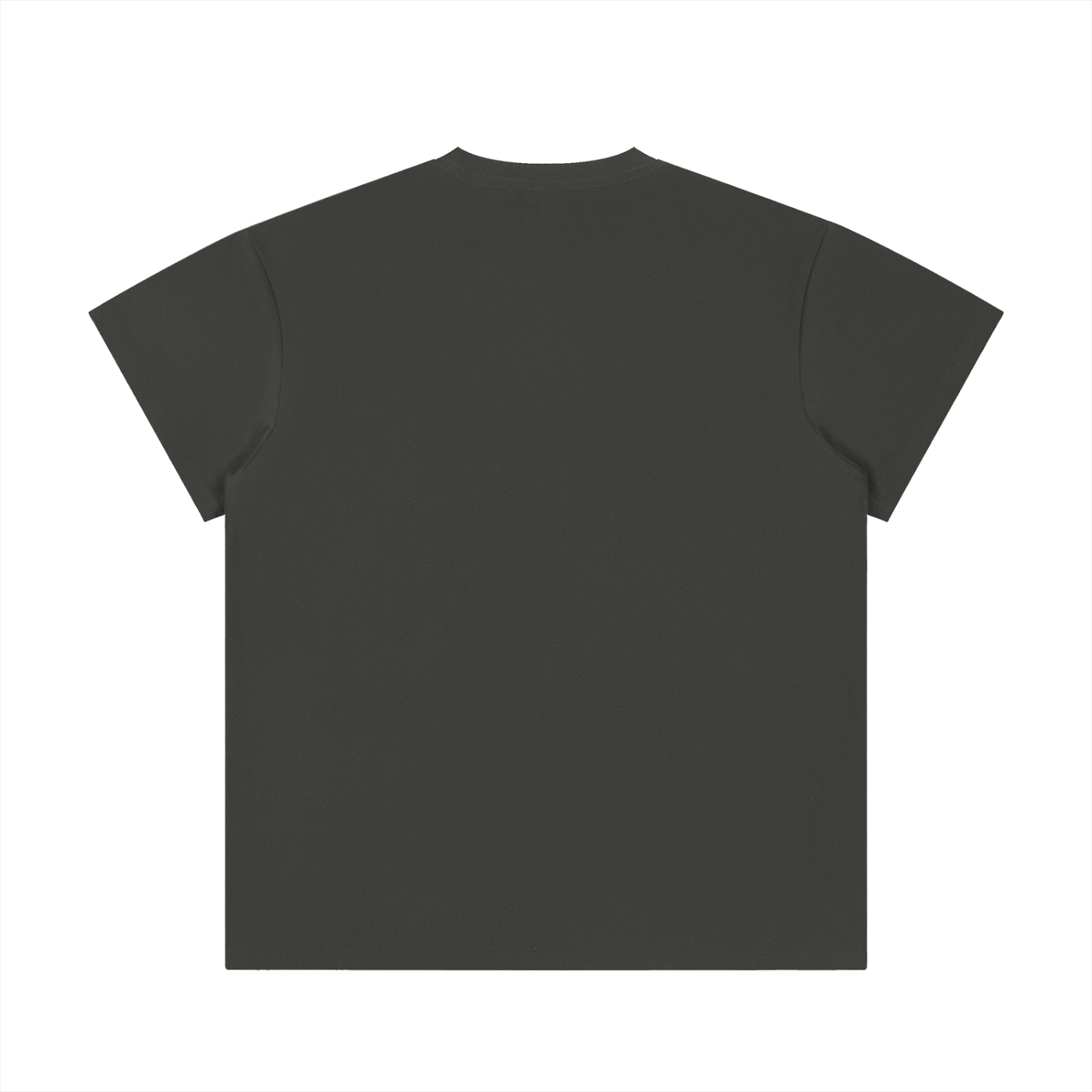 Unisex Regular Fit Crewneck T-Shirt